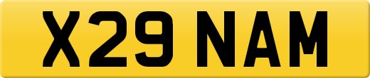 X29NAM