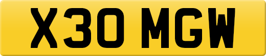 X30MGW