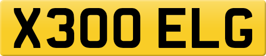 X300ELG