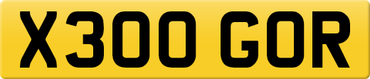 X300GOR