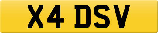 X4DSV