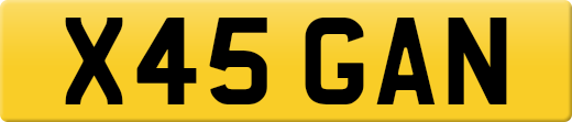 X45GAN