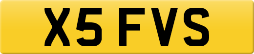 X5FVS