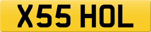 X55HOL