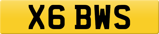 X6BWS