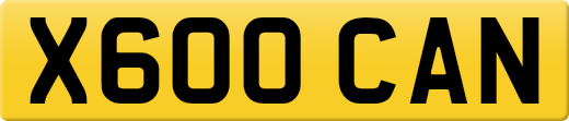 X600CAN
