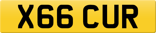 X66CUR