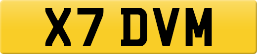 X7DVM