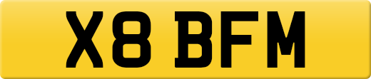X8BFM