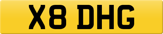 X8DHG