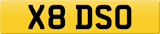 X8DSO