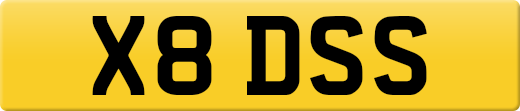 X8DSS