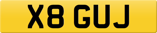 X8GUJ