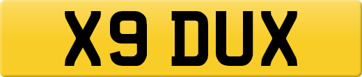 X9DUX