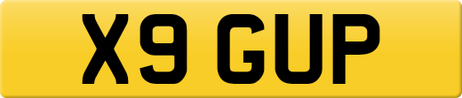 X9GUP