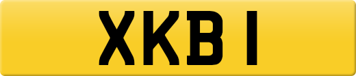 XKB1
