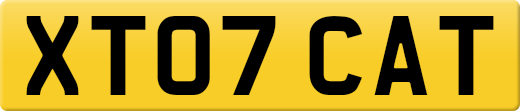 XT07CAT
