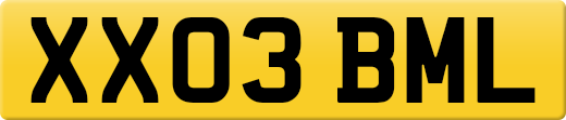 XX03BML