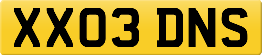 XX03DNS