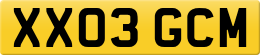 XX03GCM