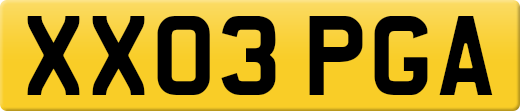 XX03PGA