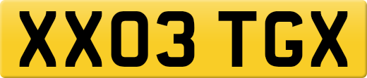 XX03TGX