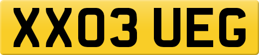XX03UEG