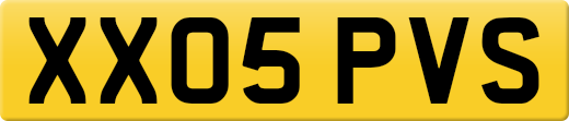 XX05PVS