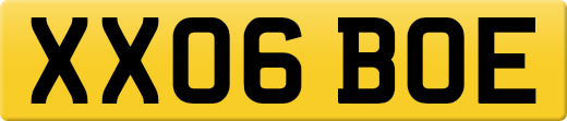 XX06BOE