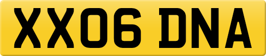 XX06DNA