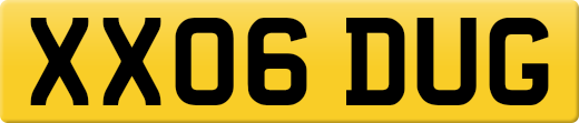 XX06DUG