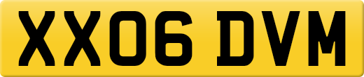 XX06DVM