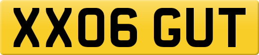 XX06GUT