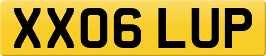 XX06LUP
