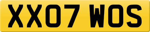 XX07WOS