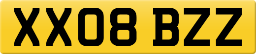 XX08BZZ
