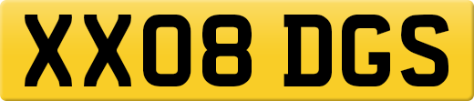 XX08DGS