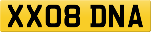 XX08DNA