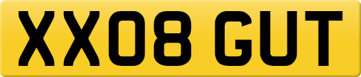 XX08GUT