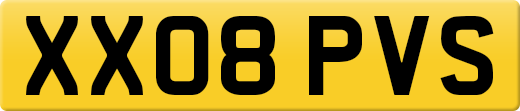 XX08PVS