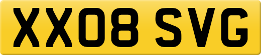 XX08SVG