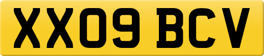 XX09BCV