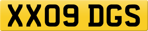 XX09DGS