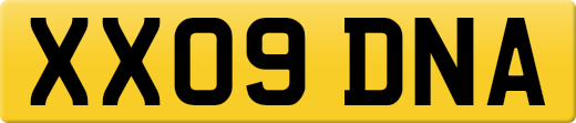 XX09DNA