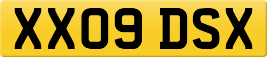 XX09DSX