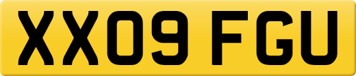 XX09FGU