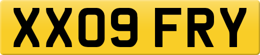 XX09FRY