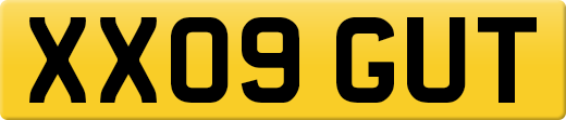 XX09GUT