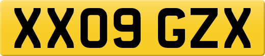 XX09GZX