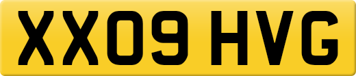 XX09HVG